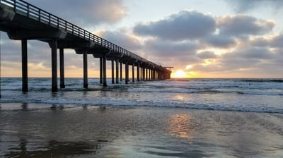 Scripps