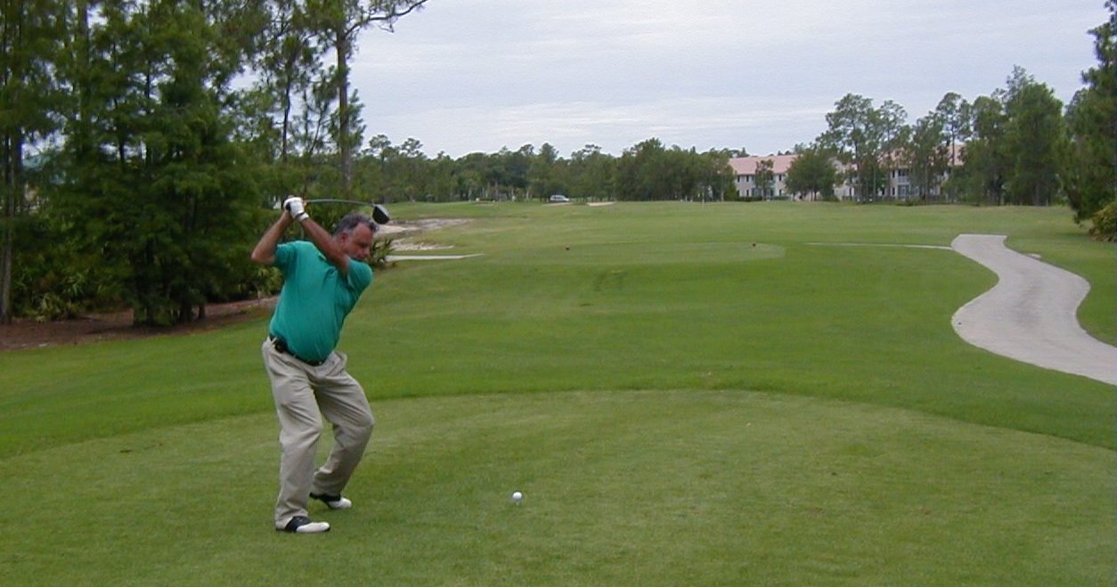 dad swing