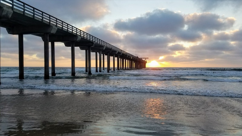 Scripps
